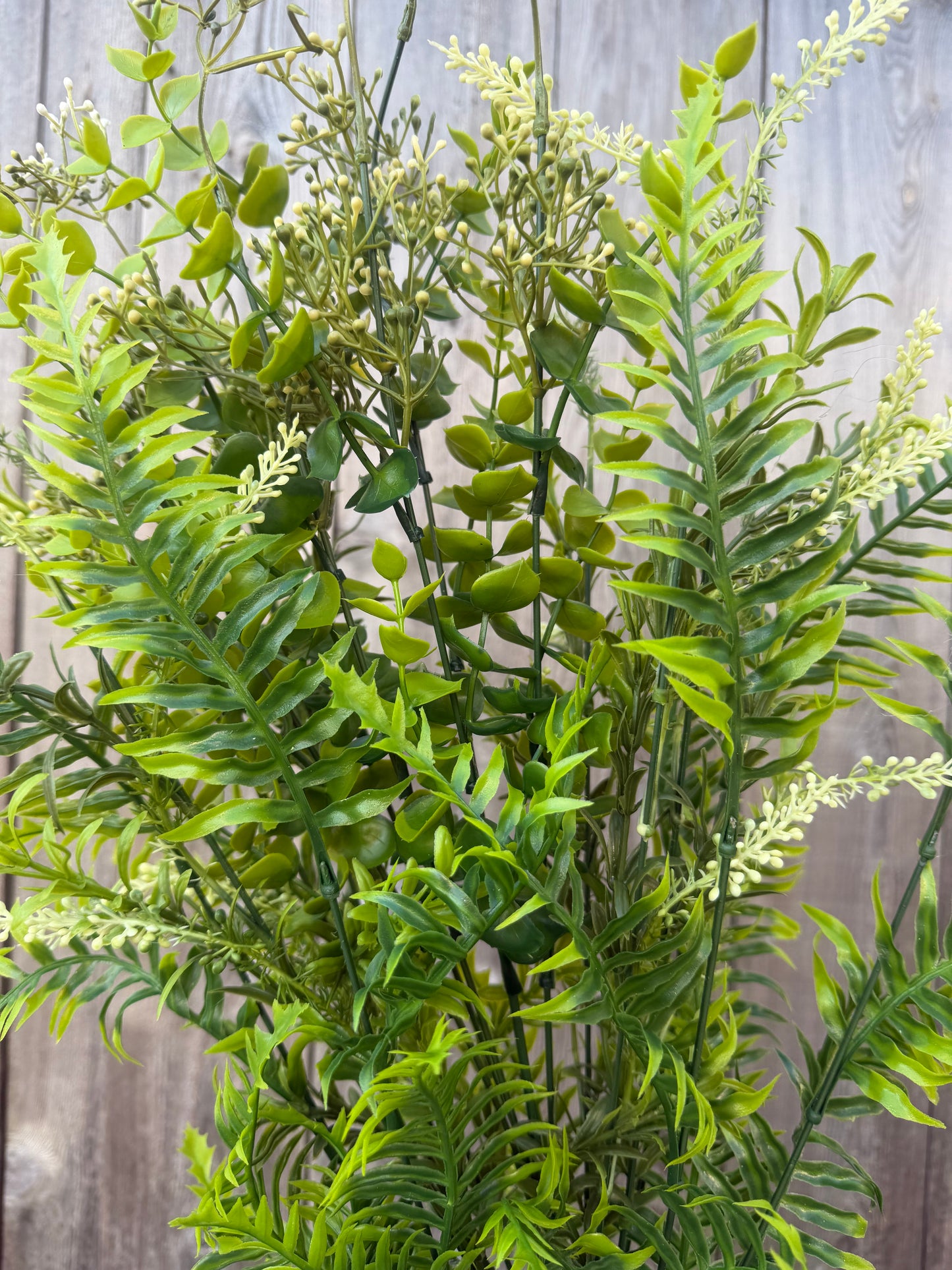 FERN &EUC MX    GRN   59701