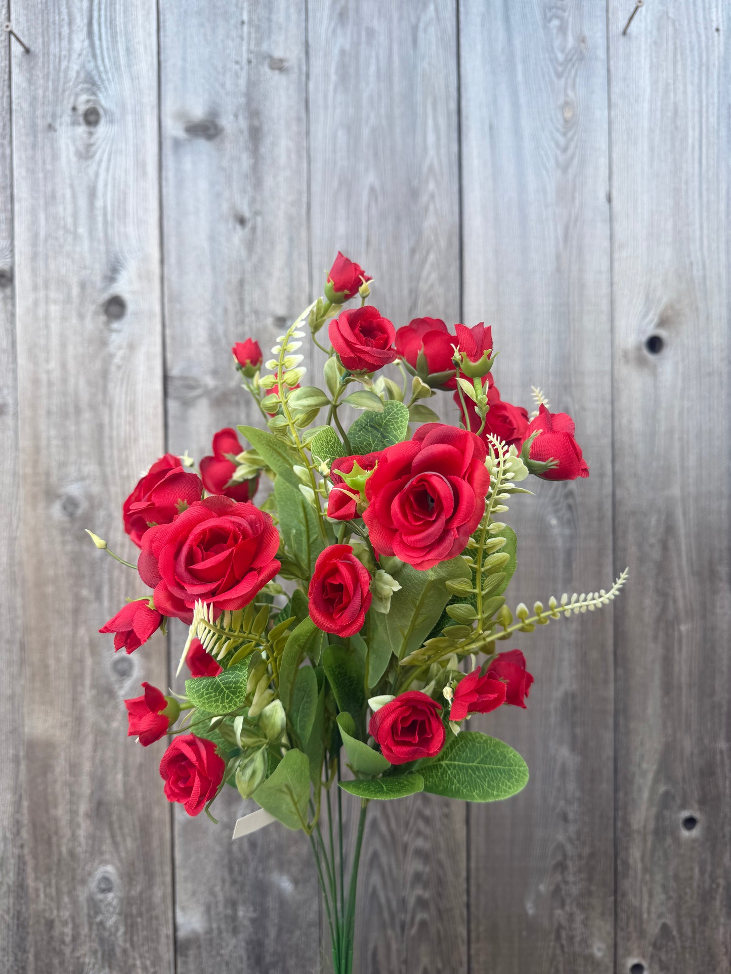 ROSE BUSH    37303
