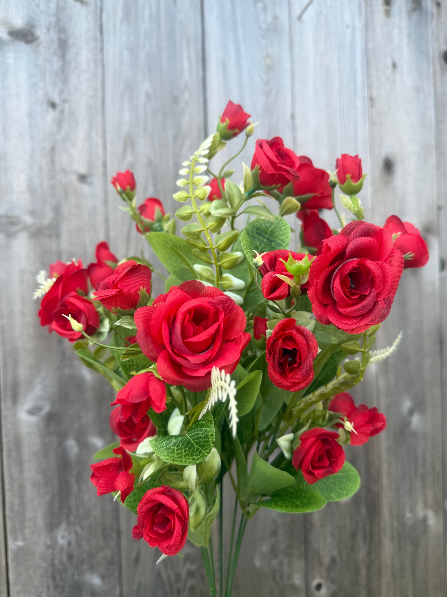 ROSE BUSH    37303