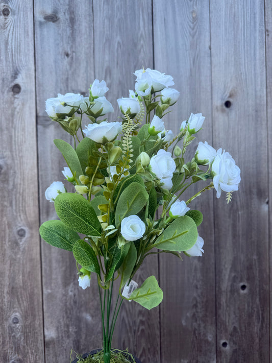 ROSE BUSH   37301