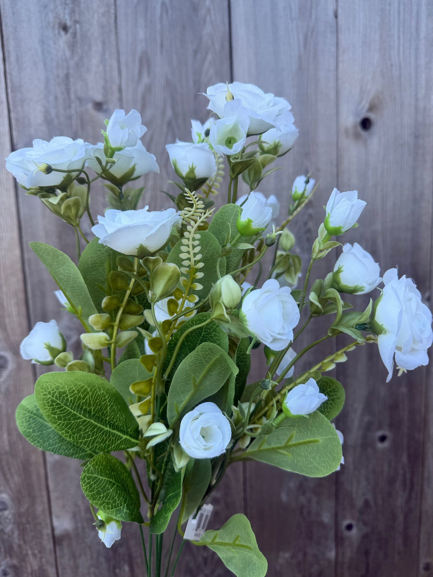 ROSE BUSH   37301