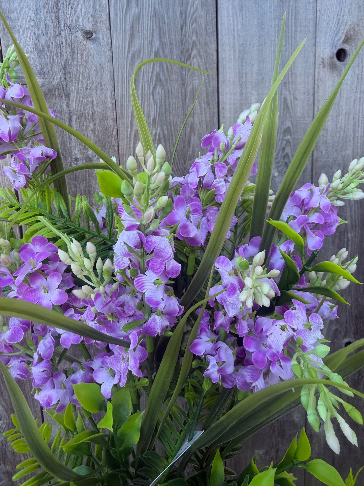 LILAC BUSH   Pink 97106