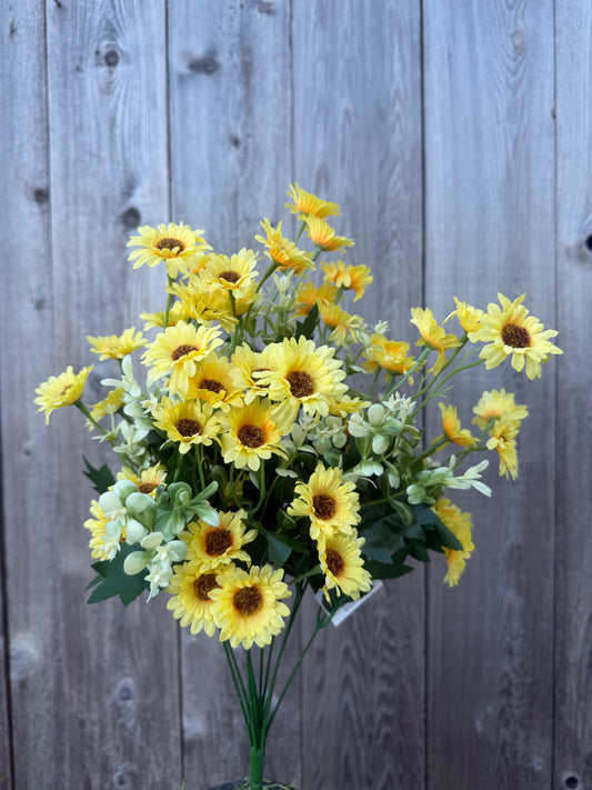 SM DAISY BUSH   36452