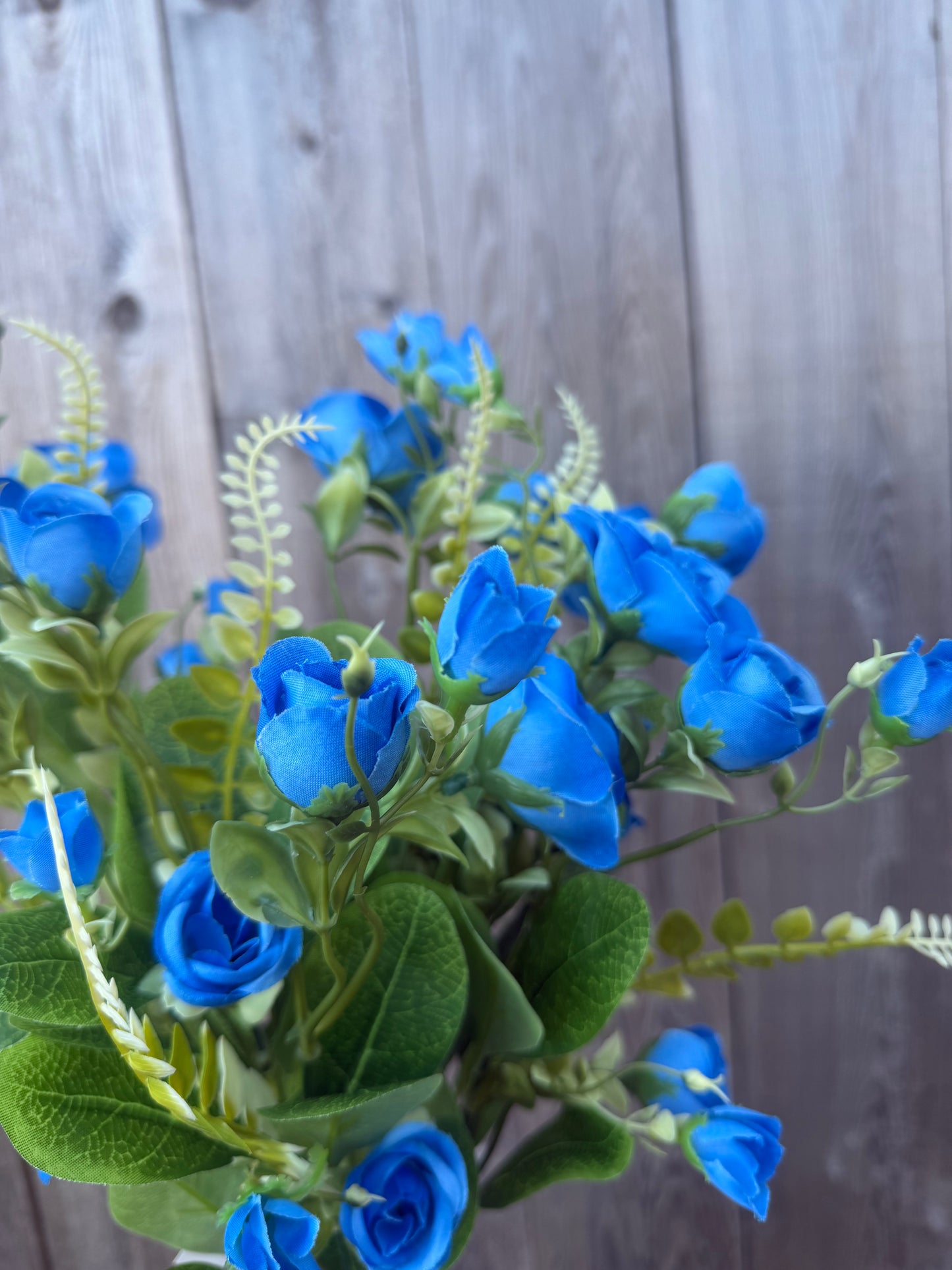 ROSE BUSH       37308