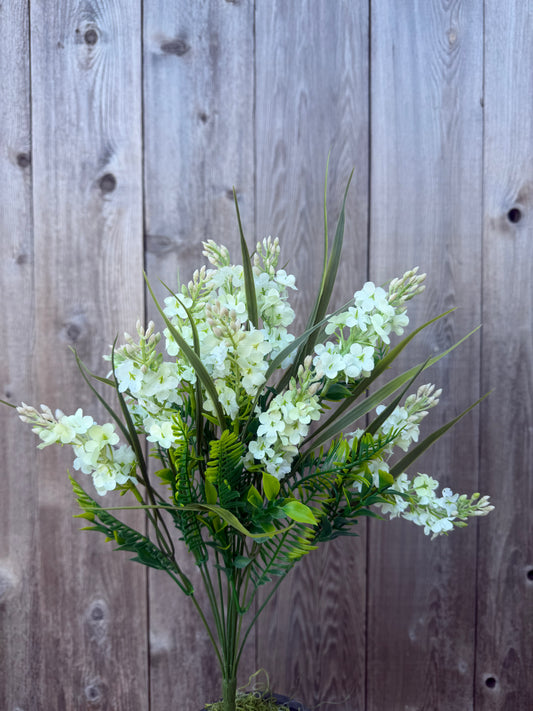 LILAC BUSH  CRM 97101