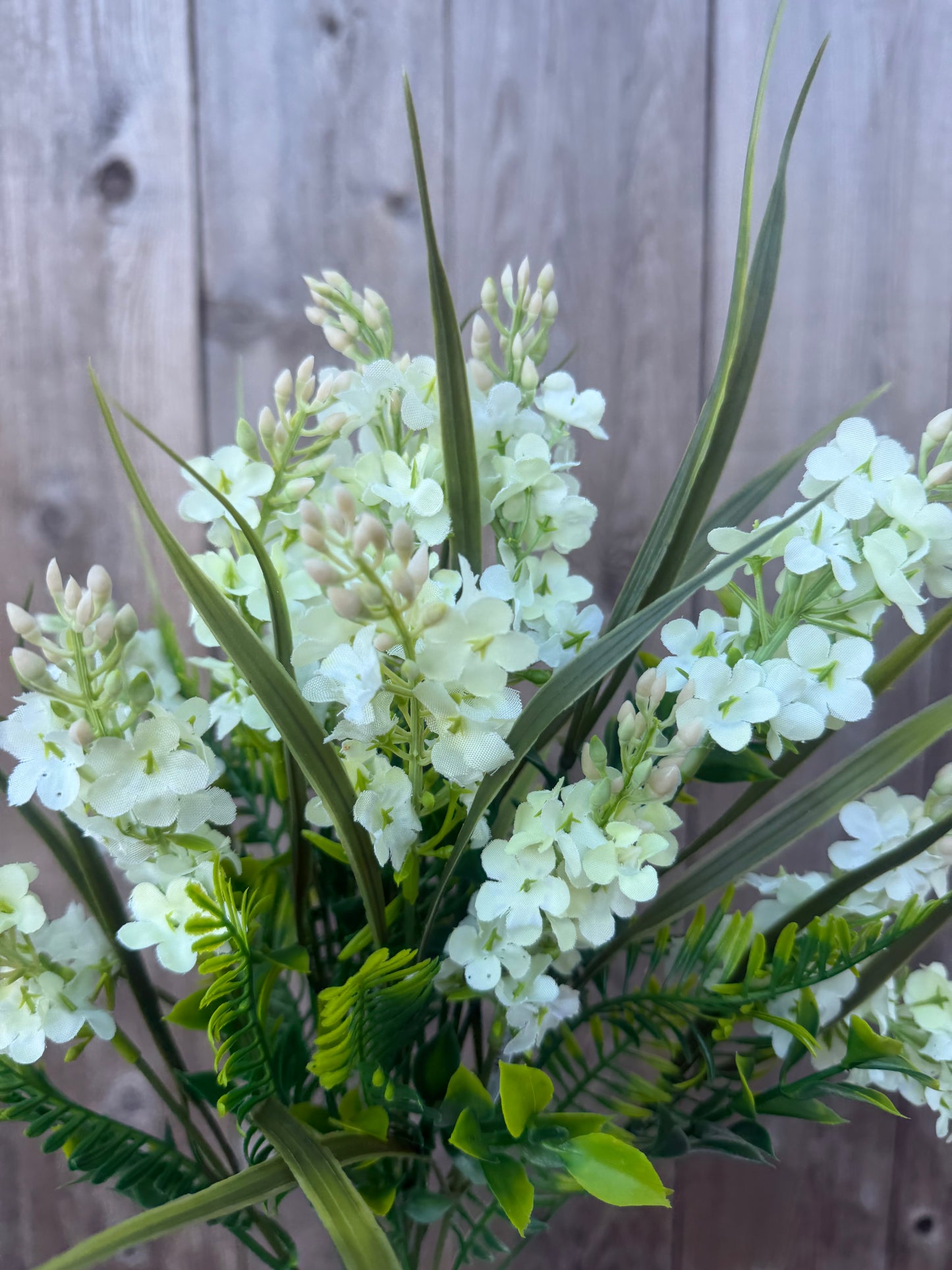 LILAC BUSH  CRM 97101