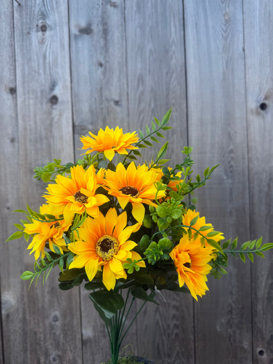 SUNFLOWER BUSH    37352