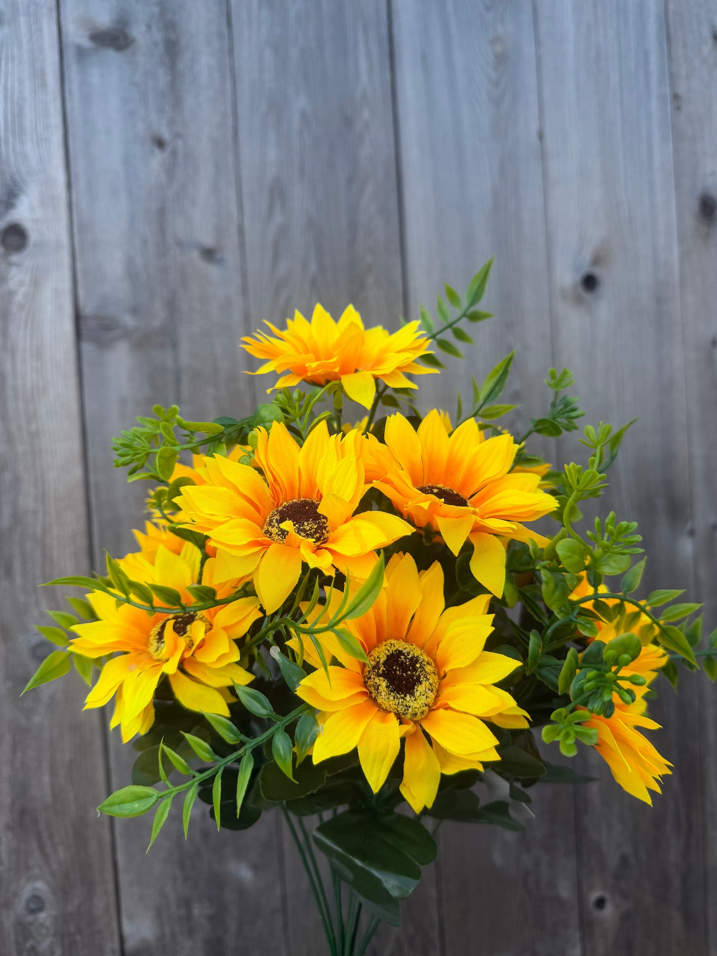 SUNFLOWER BUSH    37352