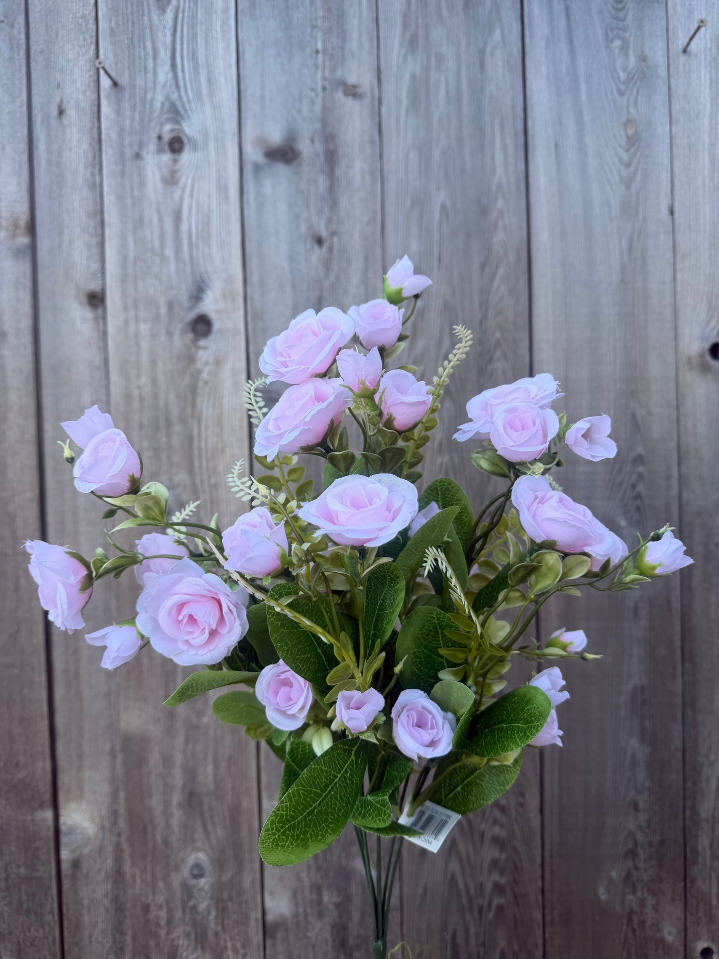 ROSE BUSH      37305