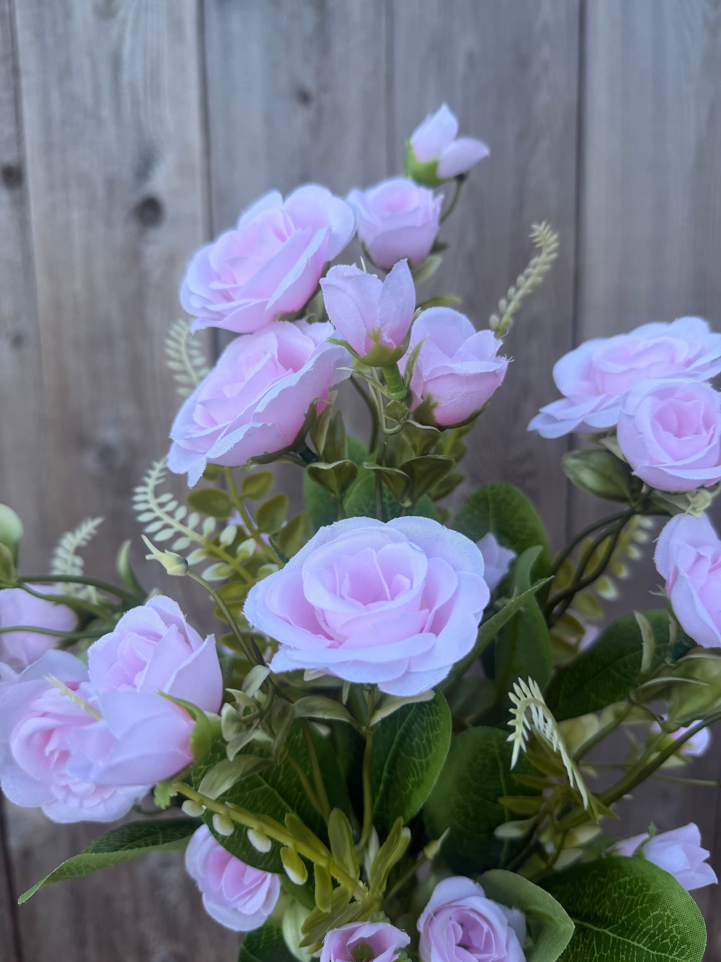 ROSE BUSH      37305