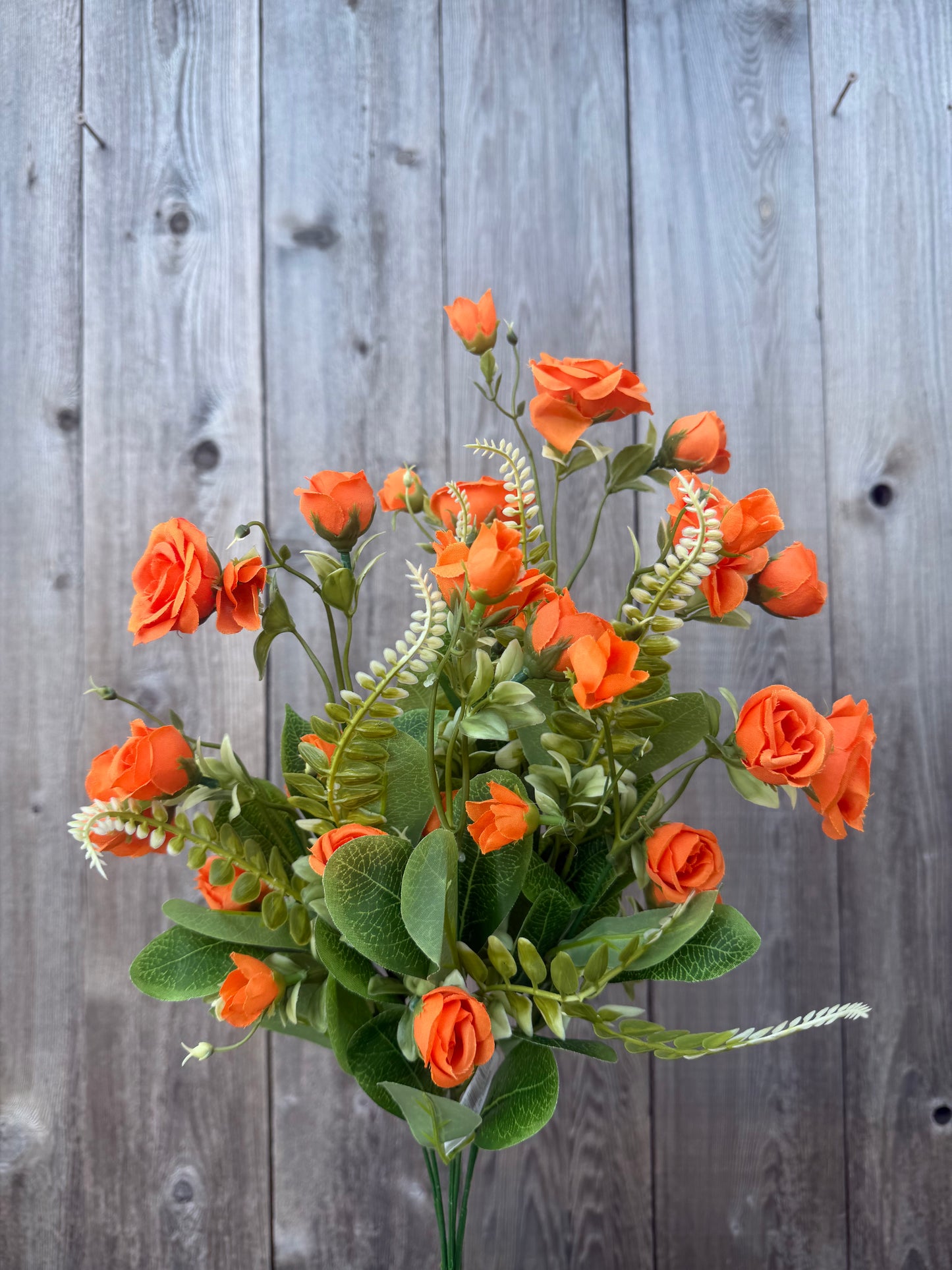 ROSE BUSH      37307