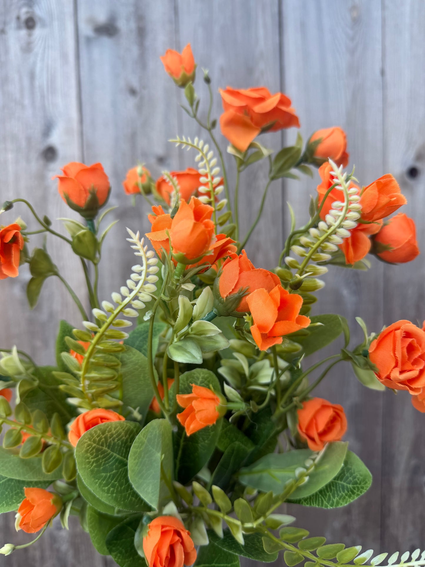 ROSE BUSH      37307