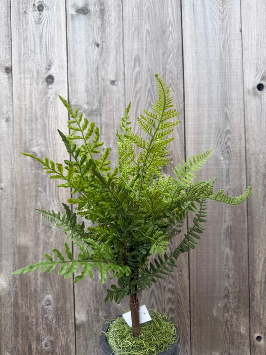 Mixed Real Touch Fern    84248