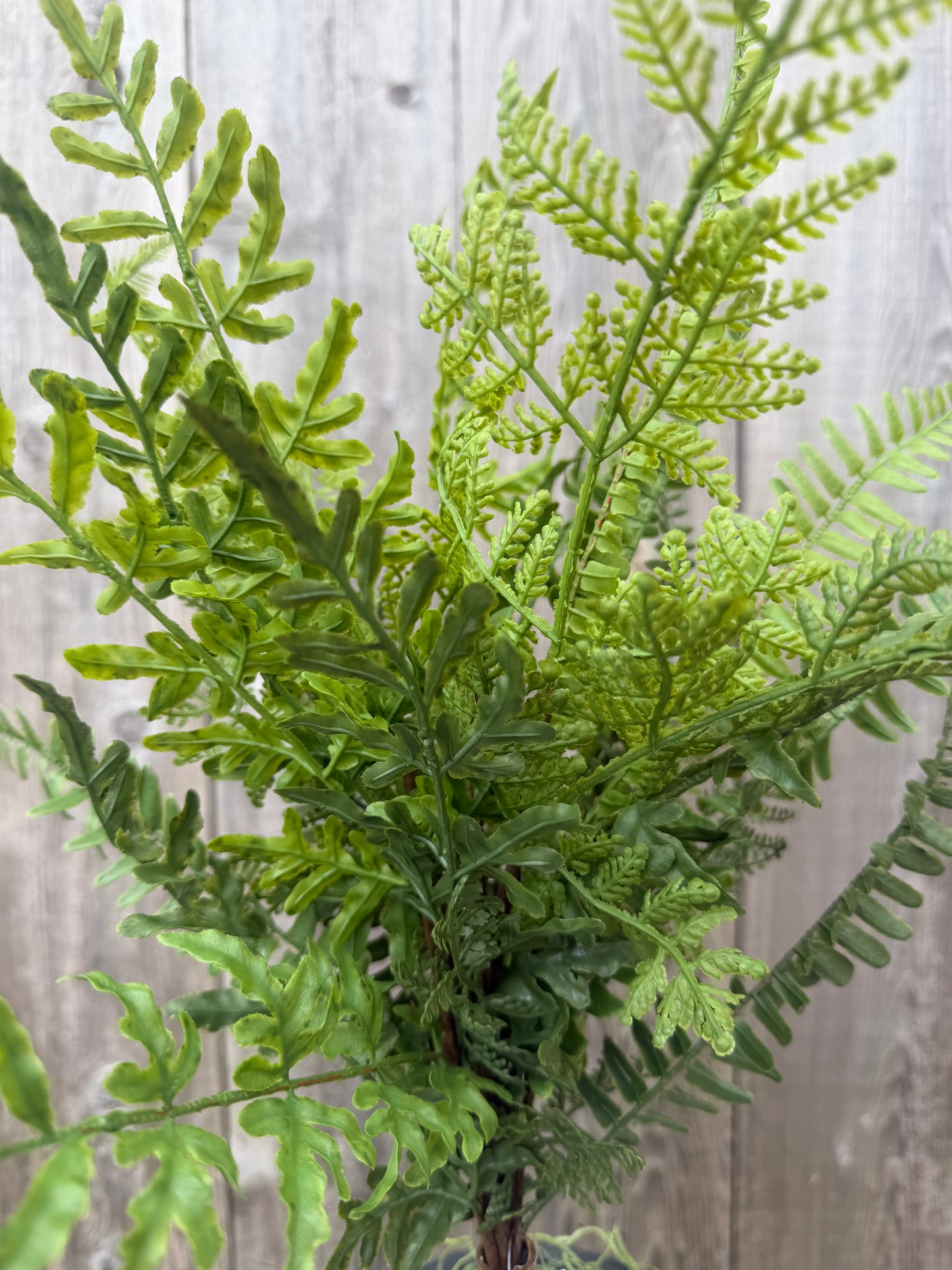 Mixed Real Touch Fern    84248