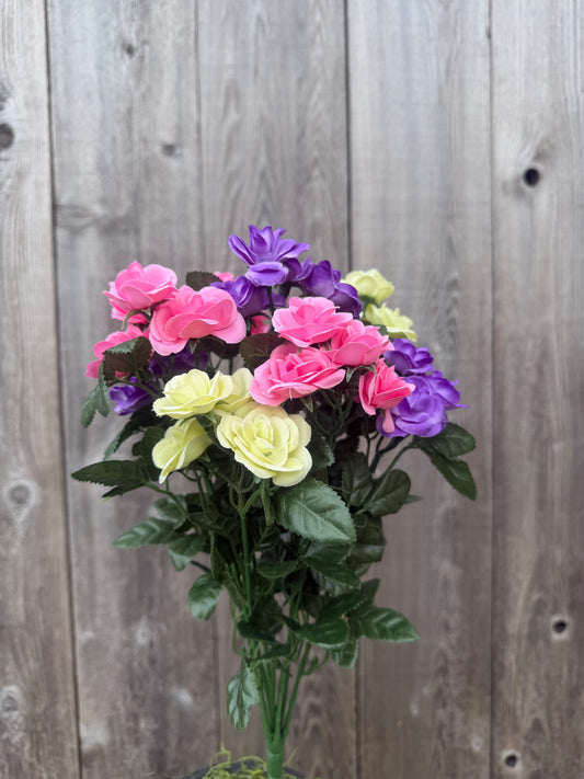 MINI ROSE BUSH   85487-PKGNPU