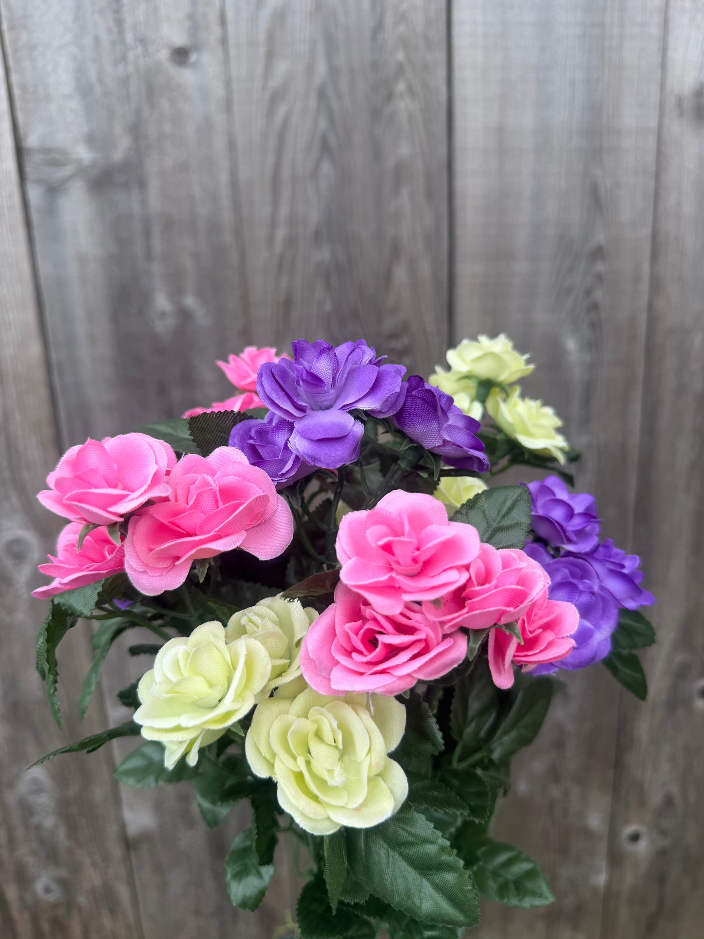 MINI ROSE BUSH   85487-PKGNPU