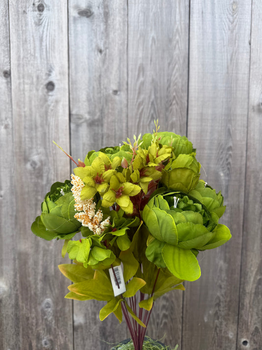 MIX PEONY BUSH  63220-EM.GN