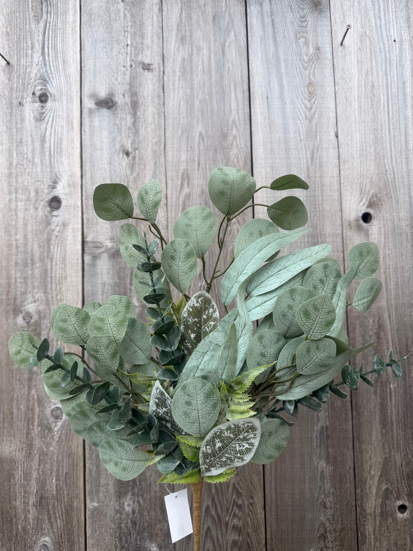 EUCALYPTUS SPRAY  61159