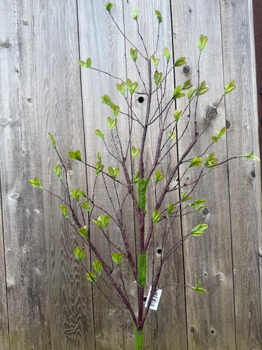 SPRING SPROUT  82368