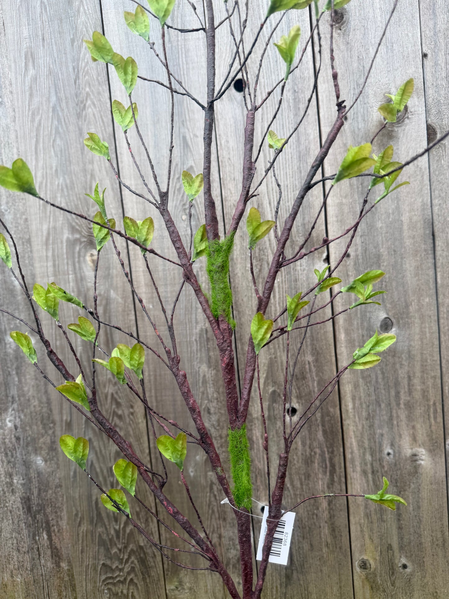 SPRING SPROUT  82368