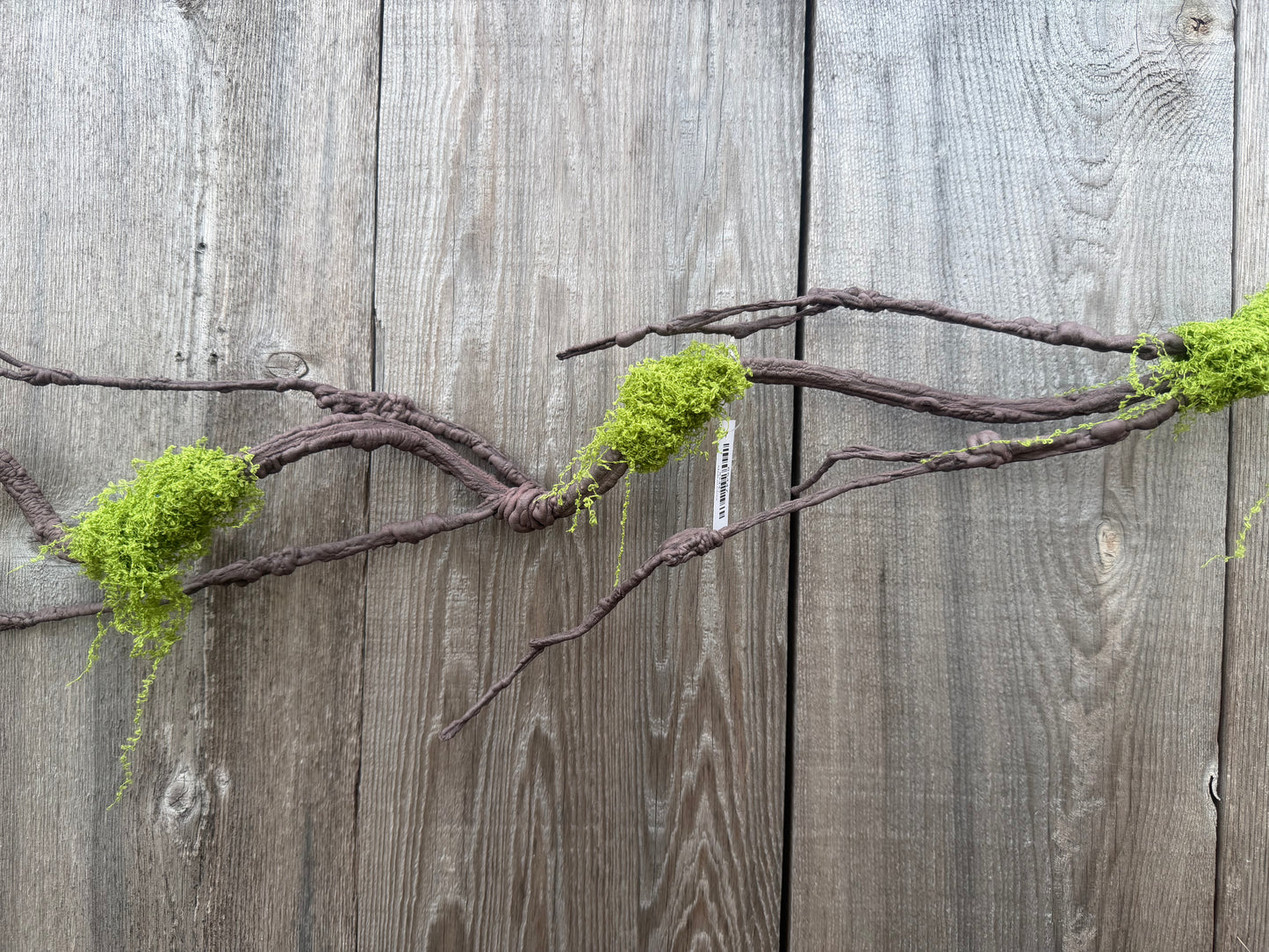 BRANCH W MOSS