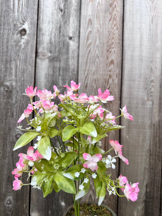 Wild Flower Bush   35180PK