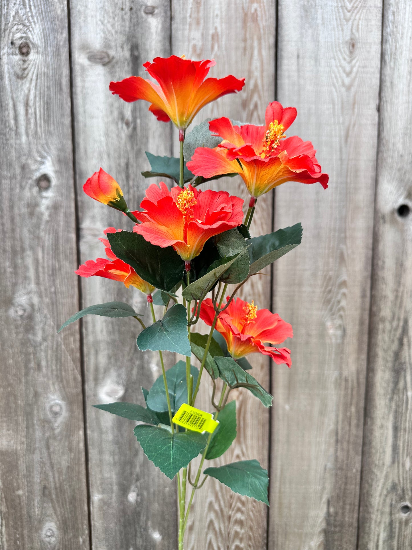 Hibiscus Spray   63339OR
