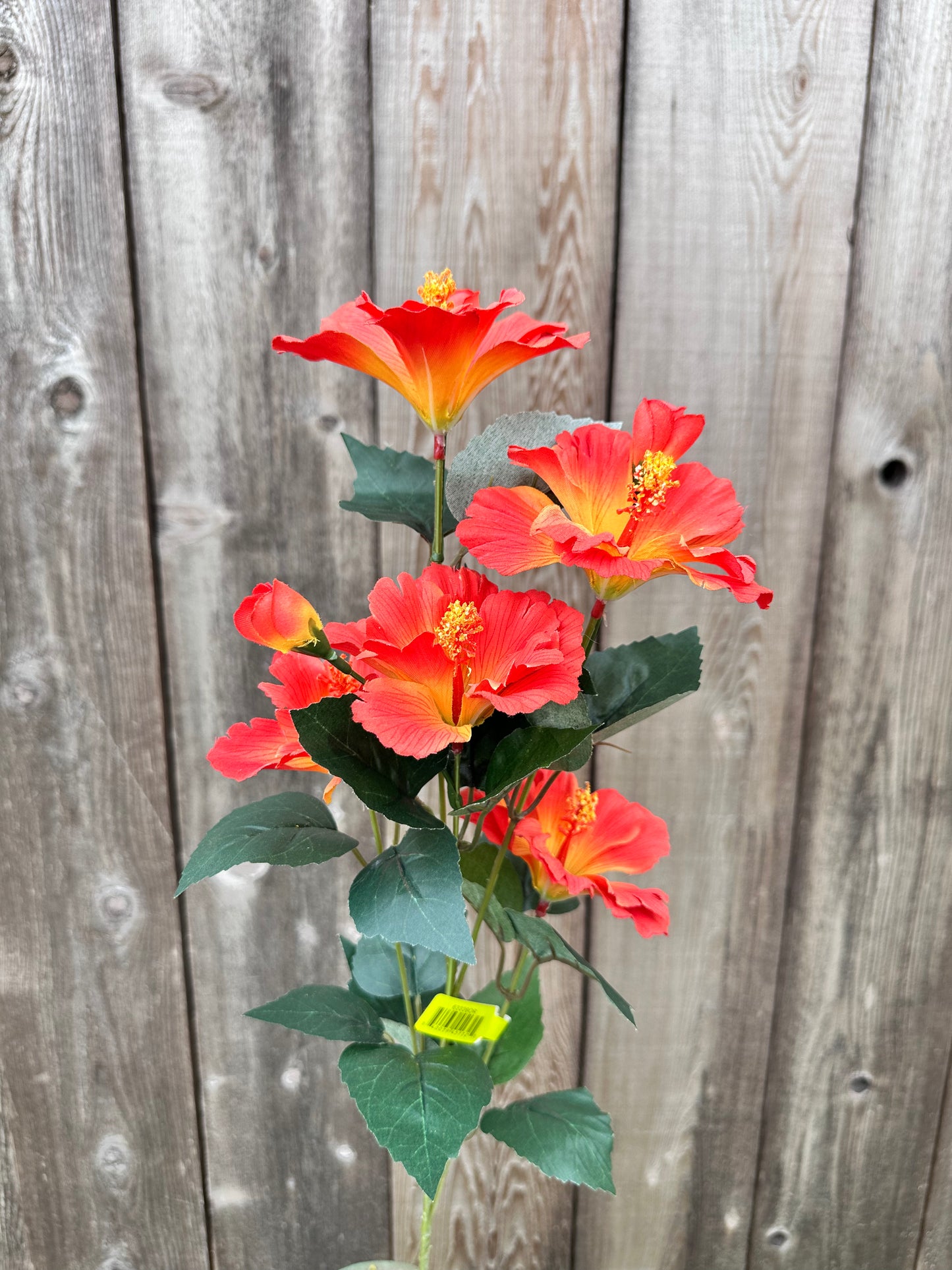 Hibiscus Spray   63339OR