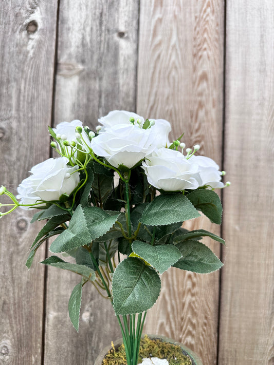 Kery Rose Bush   35146CM