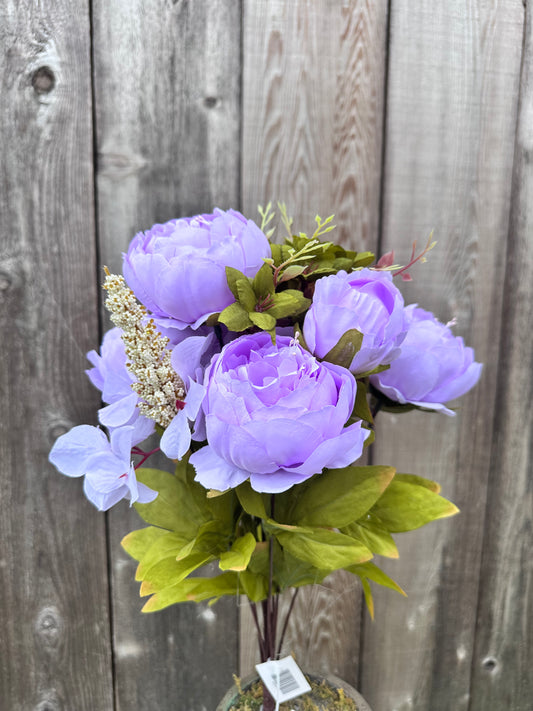 MIX PEONY BUSH  63220-LV