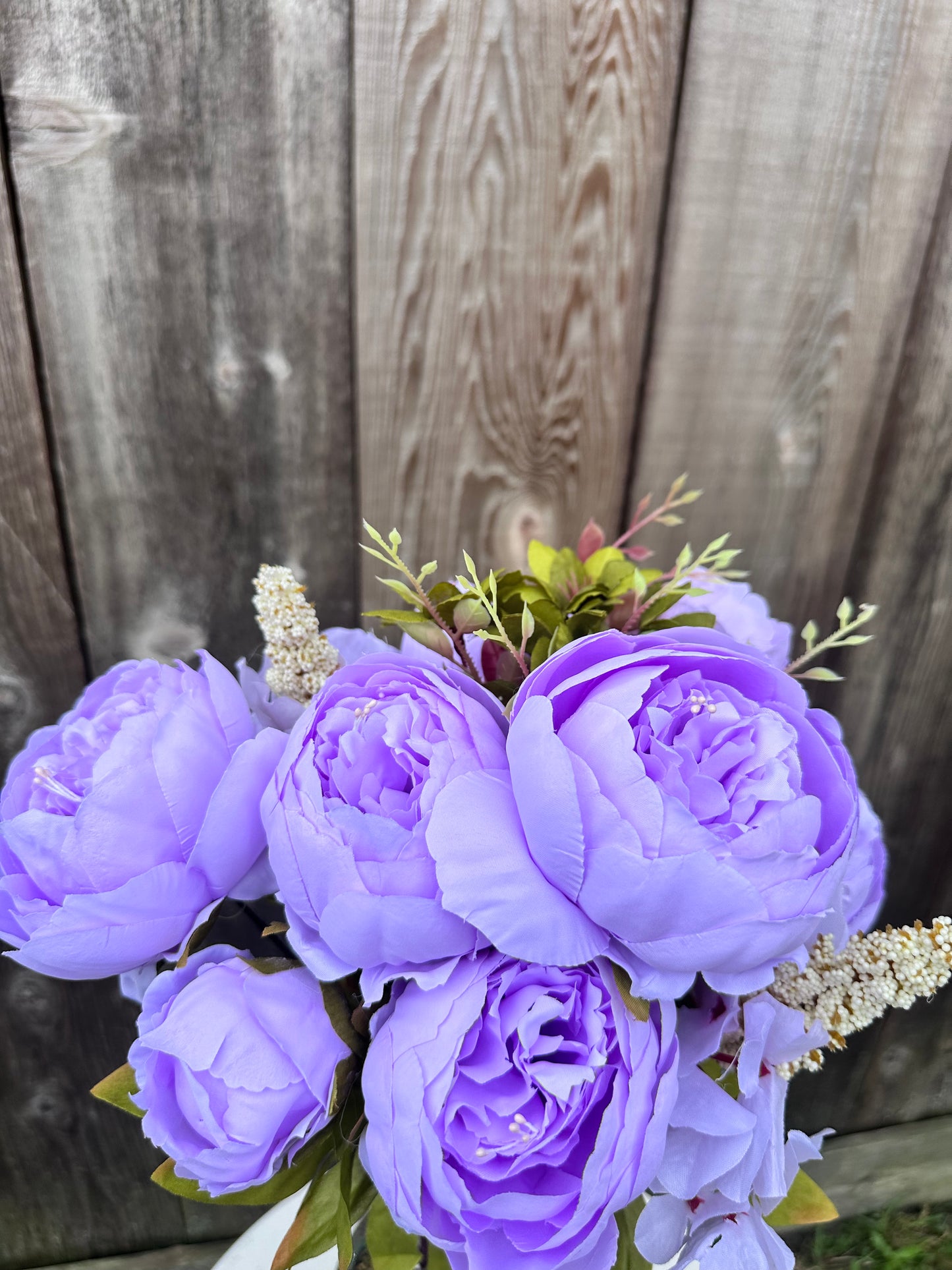 MIX PEONY BUSH  63220-LV