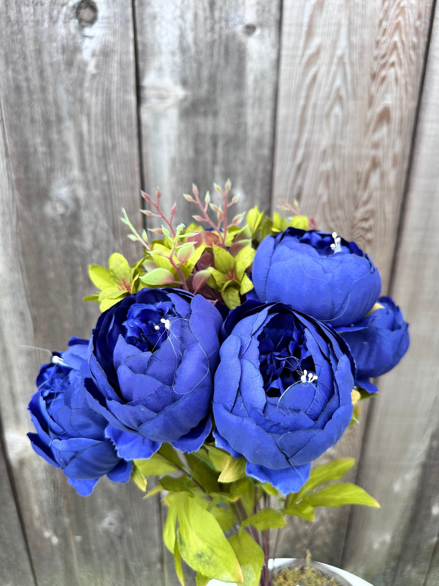 MIX PEONY BUSH  63220-RO.BL