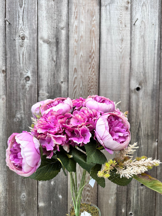 Peony Hydrangea Bush LV  20137-LV