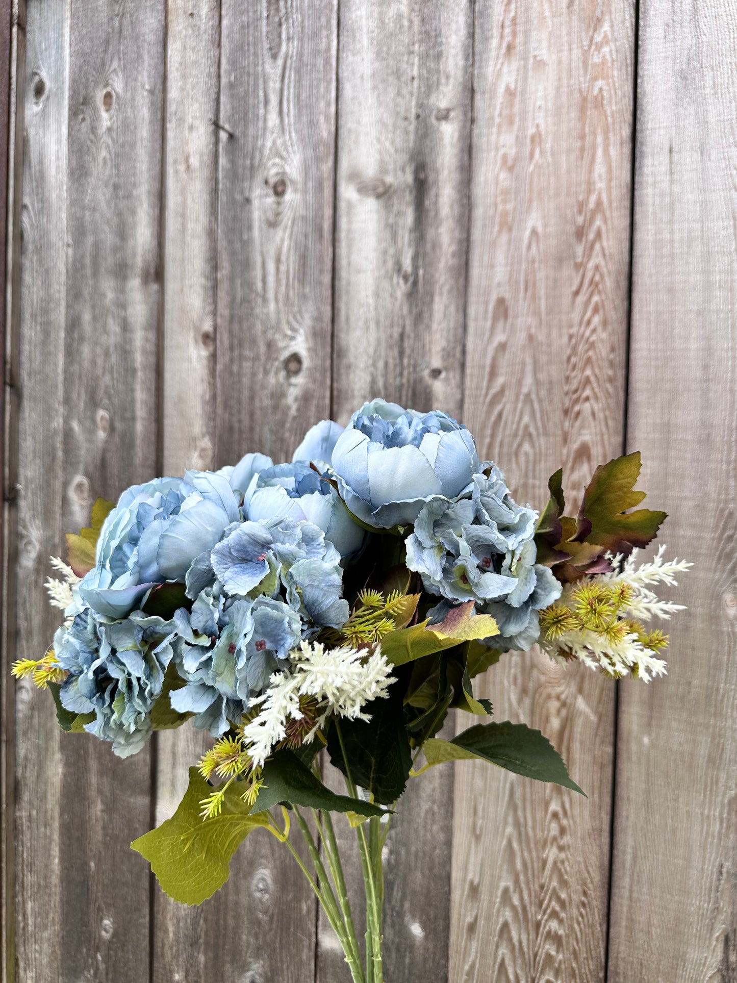 Peony Hydrangea Bush BL  20137-BL