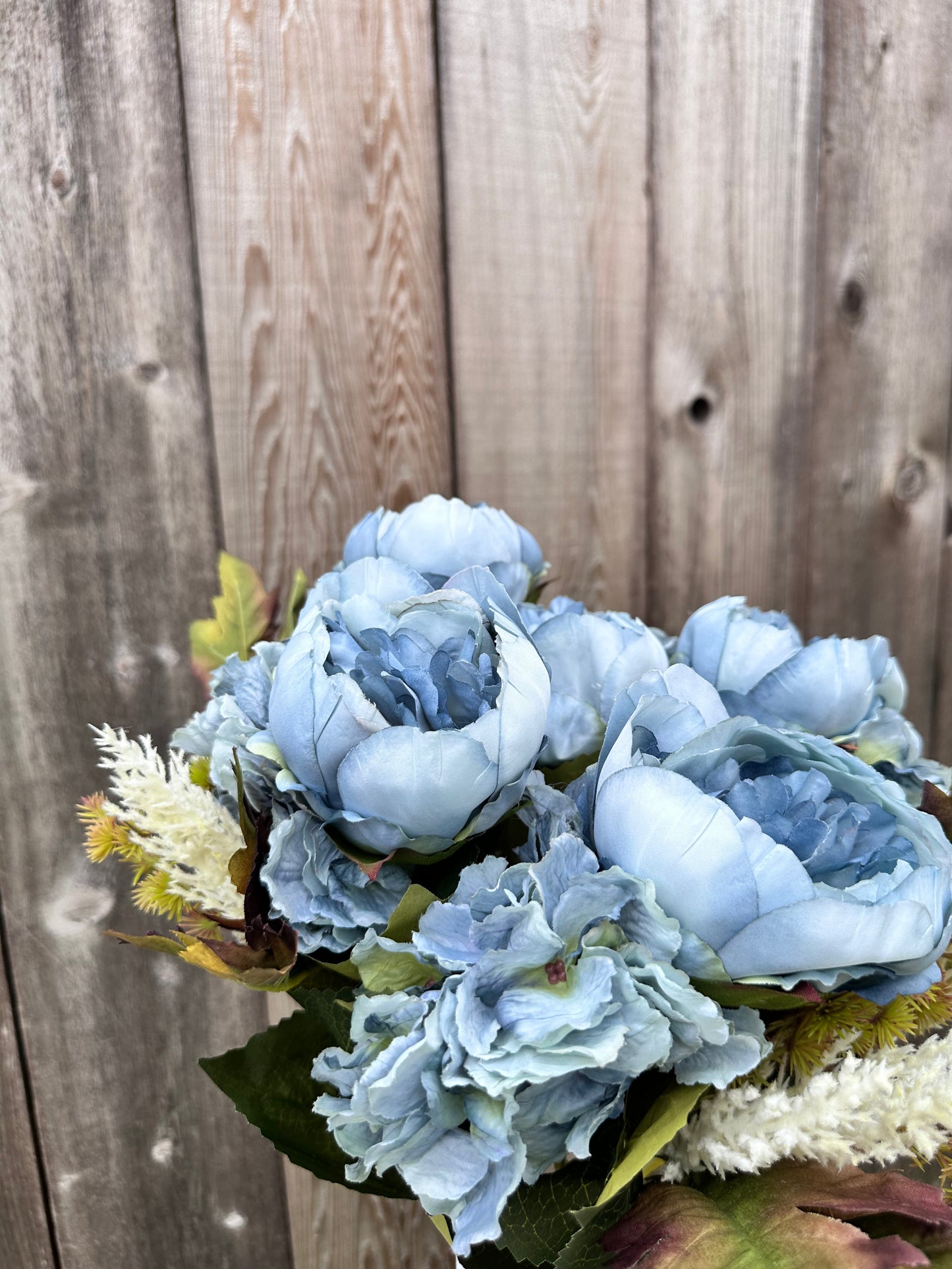Peony Hydrangea Bush BL  20137-BL