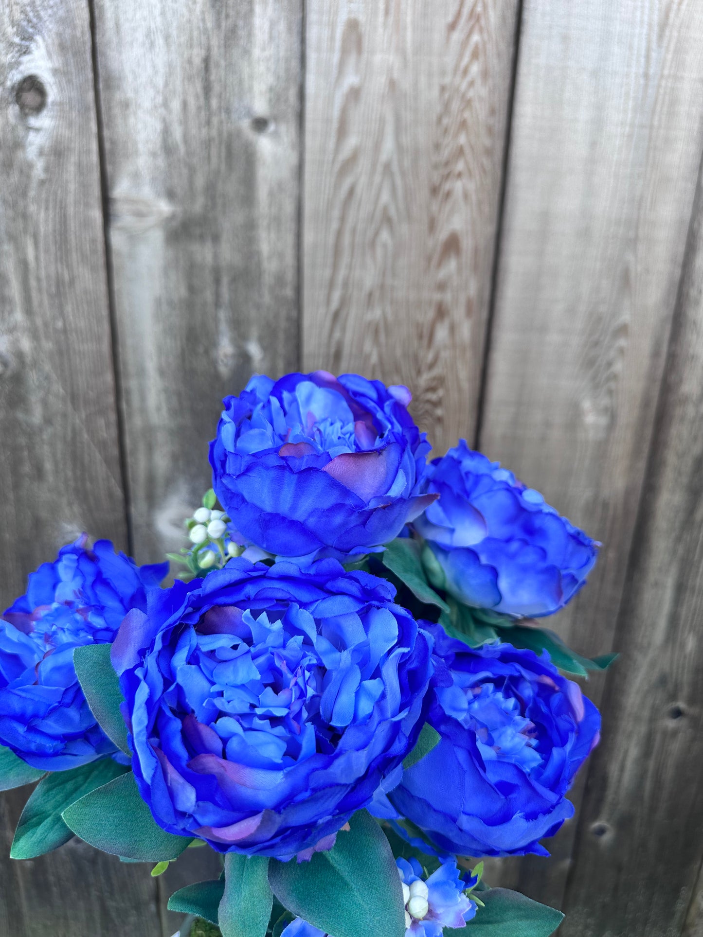 PEONY BUSH GN    84295-BL