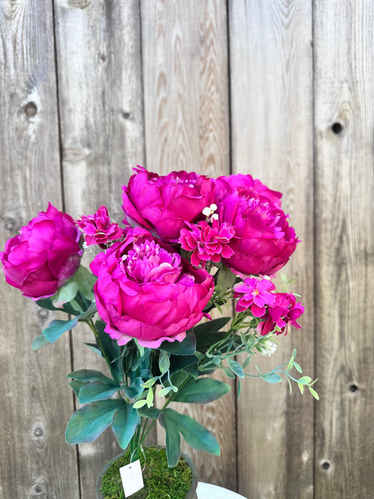 PEONY BUSH GN    84295-FU
