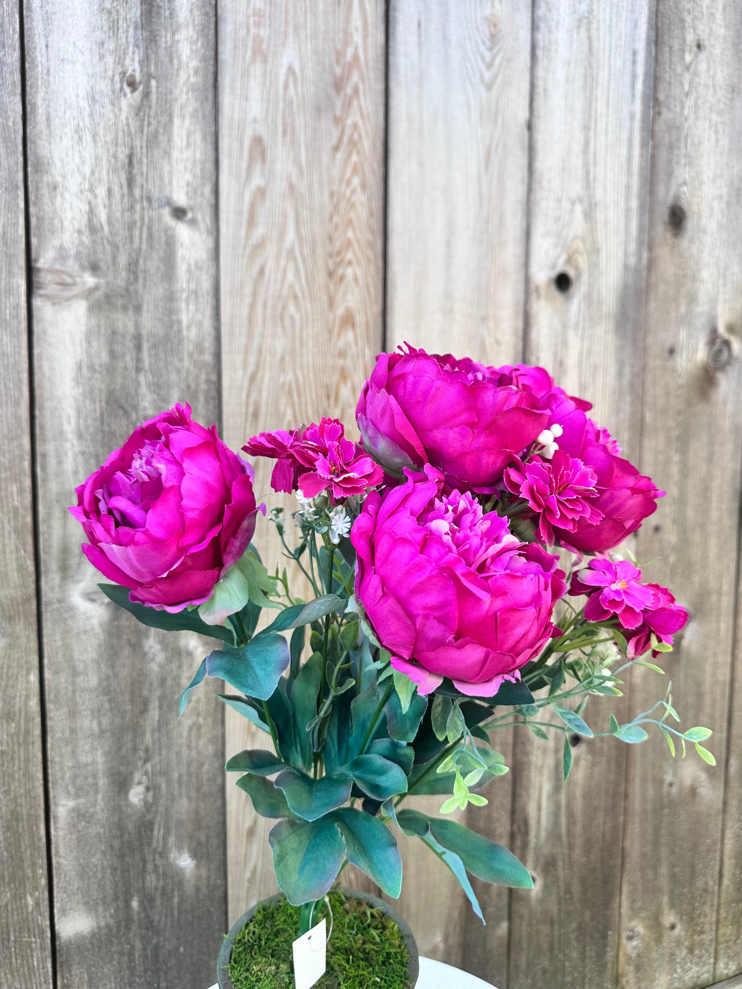 PEONY BUSH GN    84295-FU