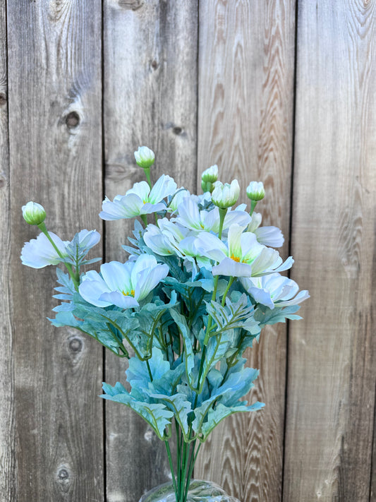 COSMOS BUSH     84299-CR