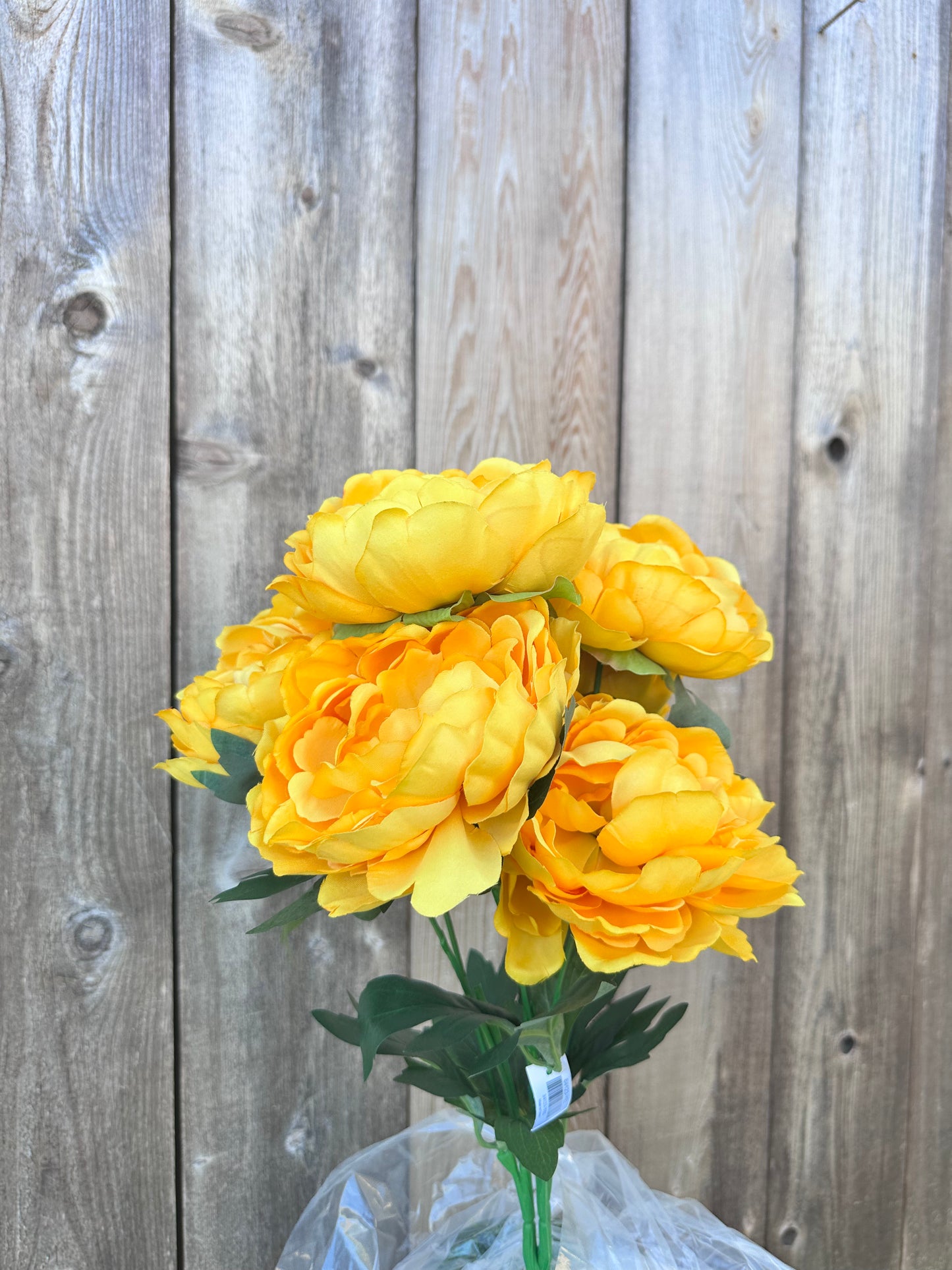 PEONY BUSH  21 IN   84123-YEL