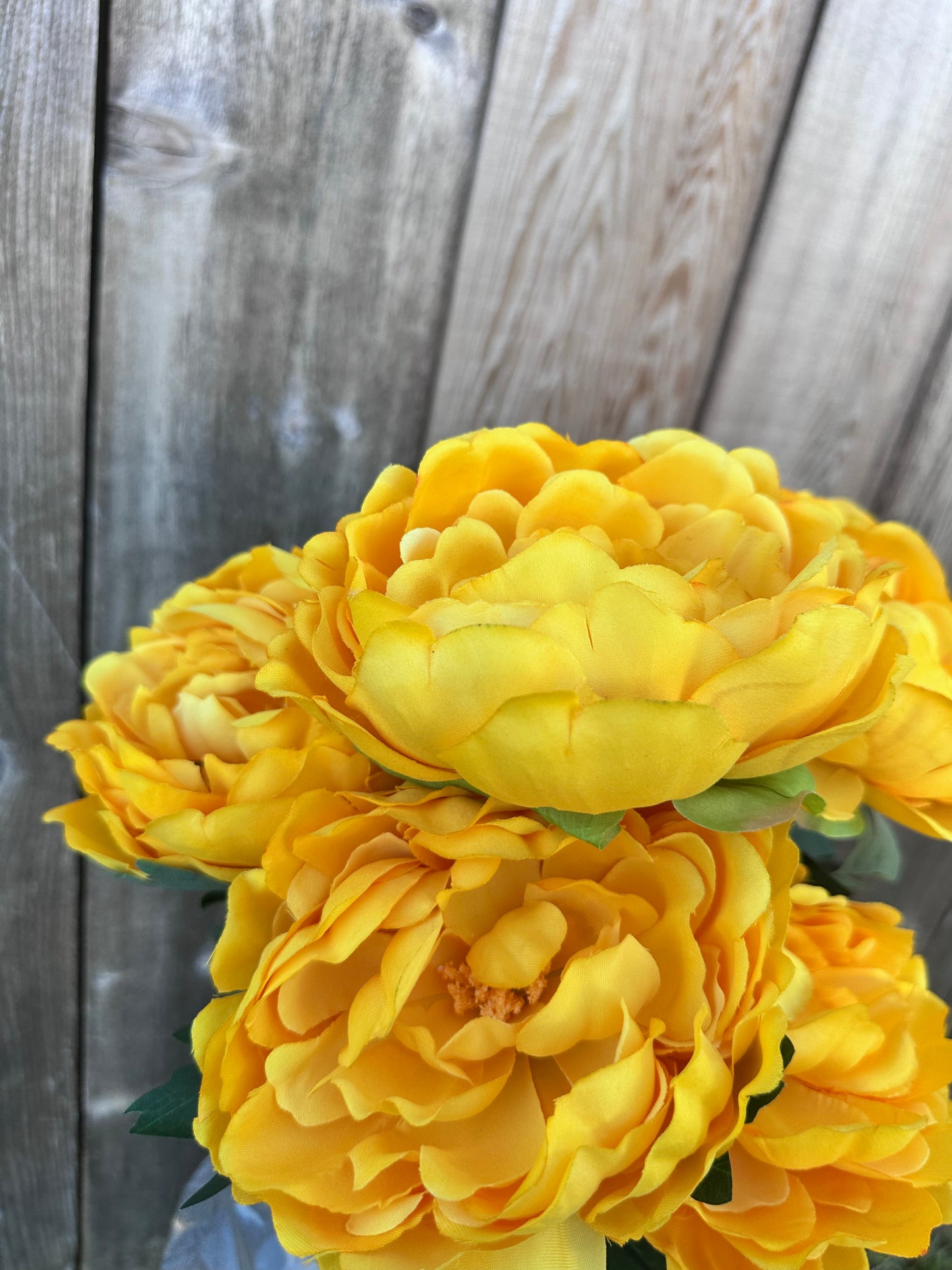 PEONY BUSH  21 IN   84123-YEL