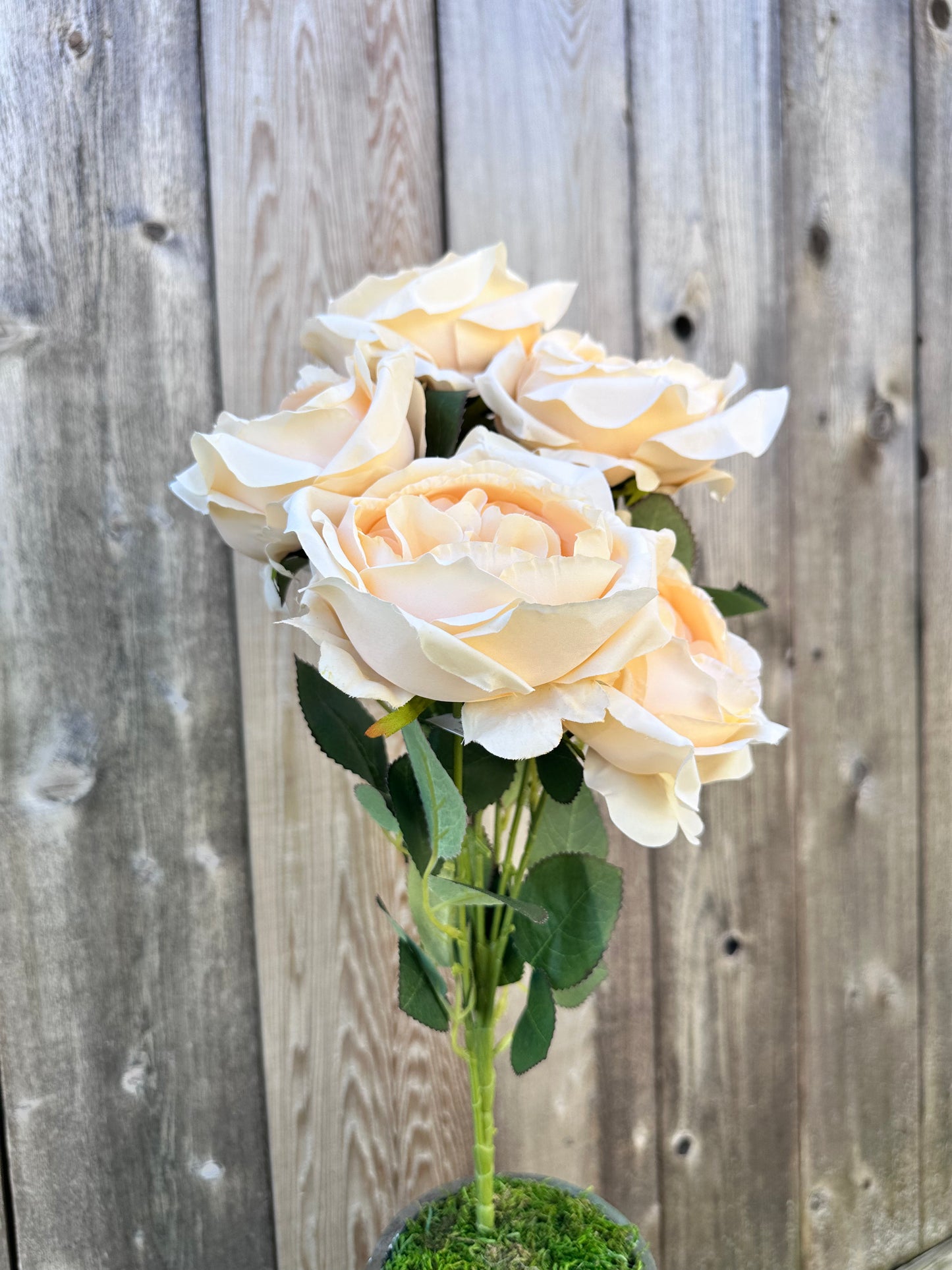 ENGLISH GARDEN ROSE   81105-BE