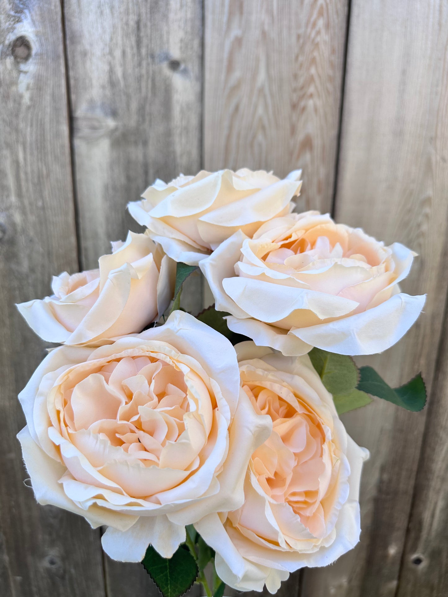 ENGLISH GARDEN ROSE   81105-BE