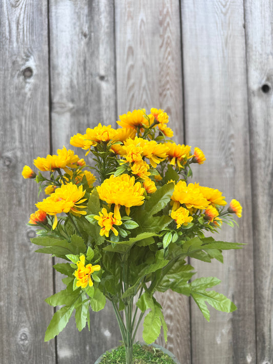 MUM BUSH  84554-YEL