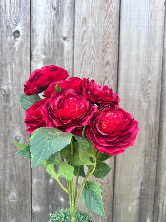RANUNCULUS BUSH  84894-RD