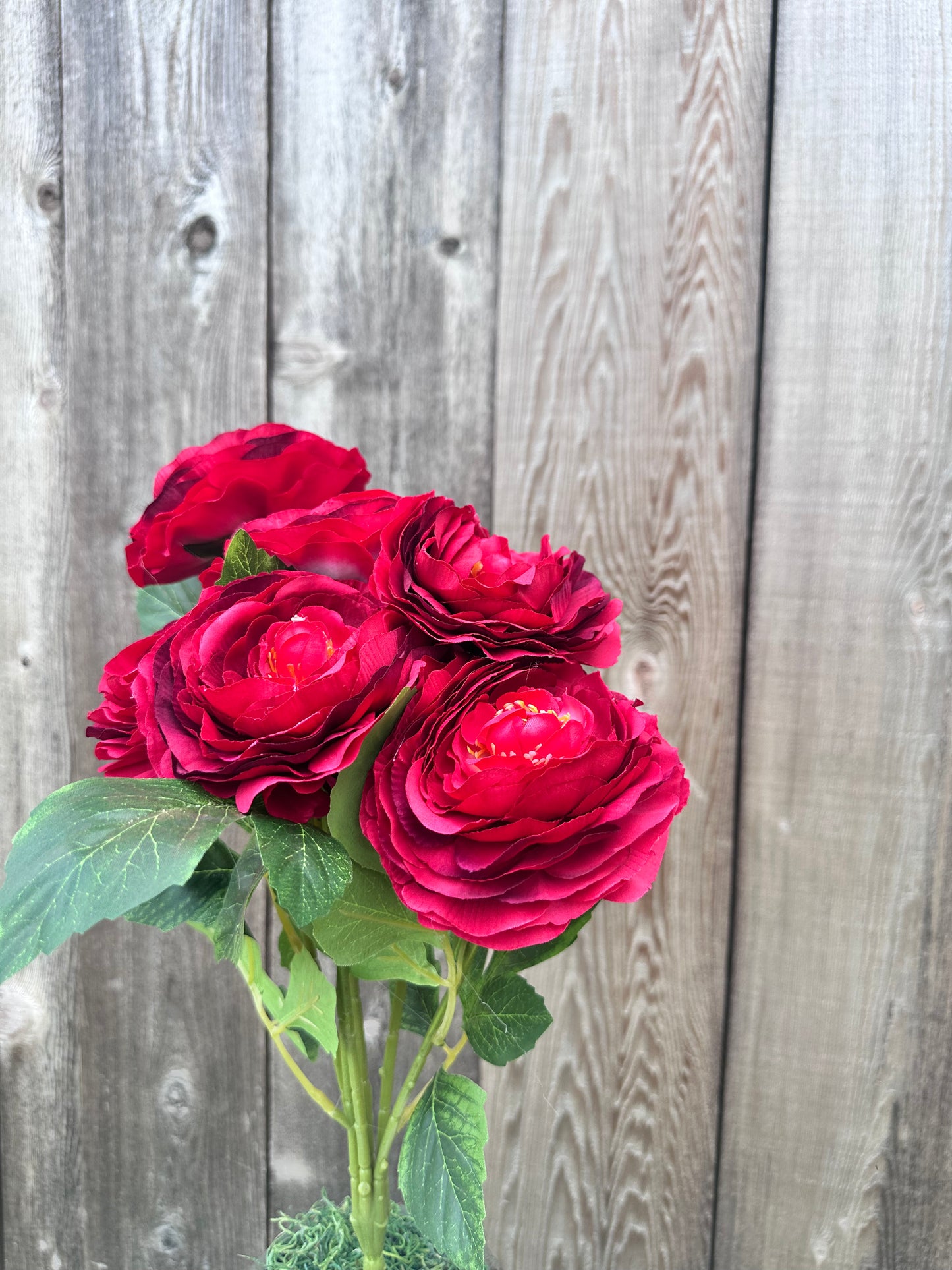 RANUNCULUS BUSH  84894-RD