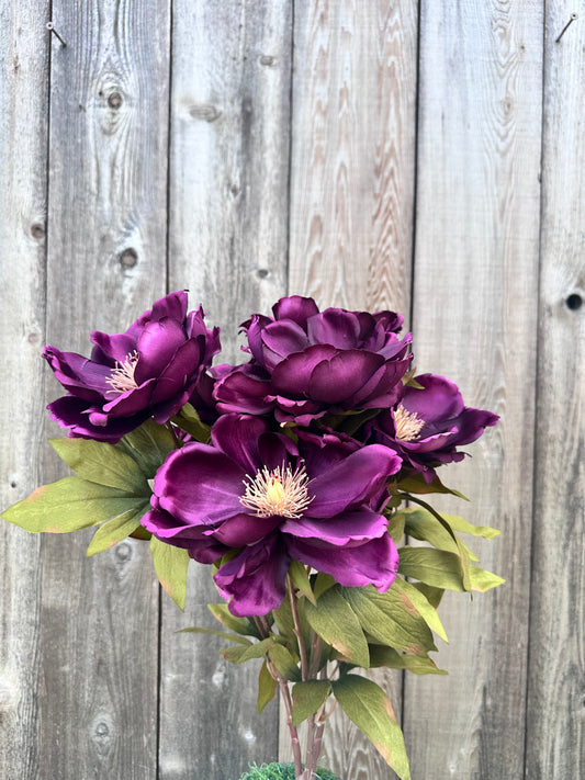 MAGNOLIA BUSH   52371-NEWPU