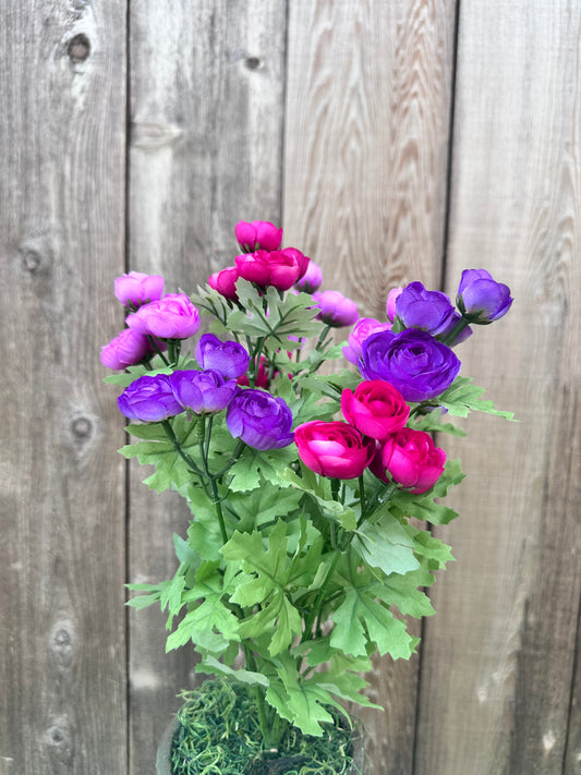 MINI RANUNCULUS BUSH  84055-PULVFU