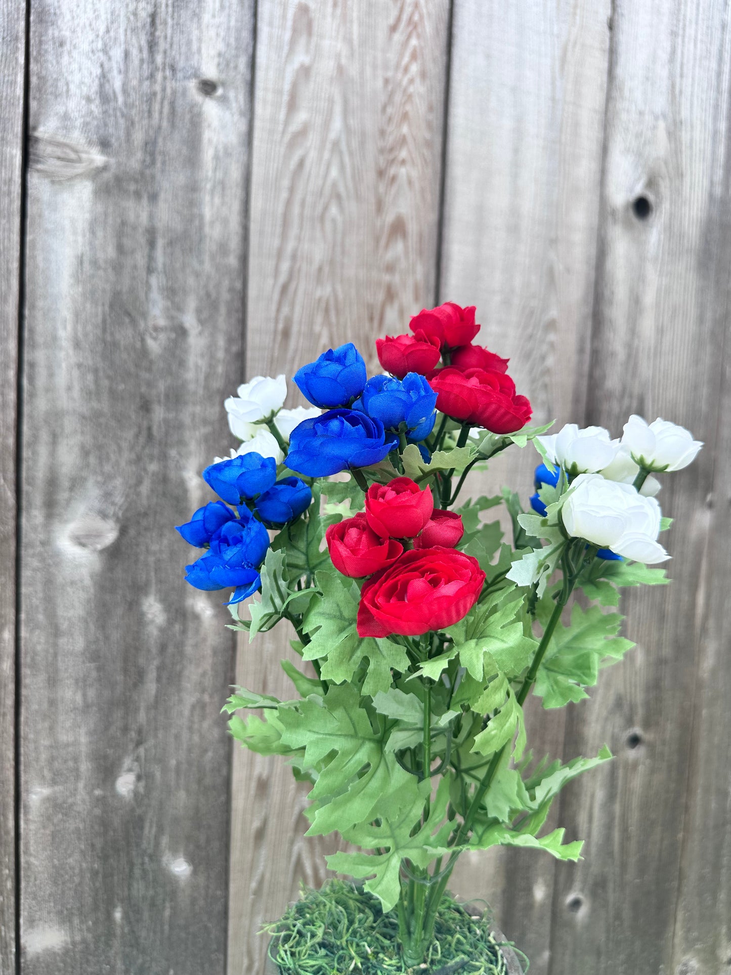 MINI RANUNCULUS BUSH   84055-RDWTBL