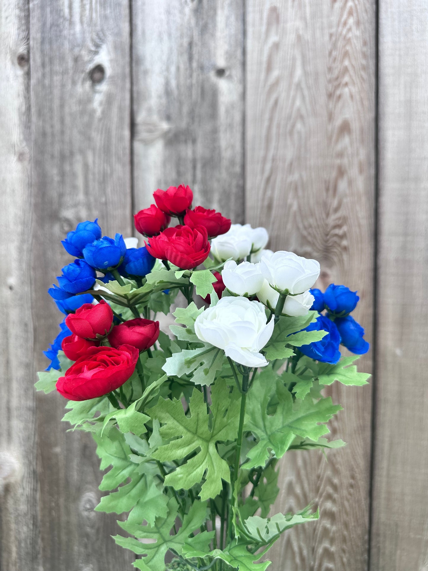 MINI RANUNCULUS BUSH   84055-RDWTBL